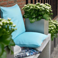 Kalanchoe 'Calandiva'®, Weiß, Topf-Ø 12 Cm, Höhe Ca. 27,5 Cm, 6er-Set -Zimmer & Garten Verkäufe 0210350168 Kalanchoe Cal weiss2