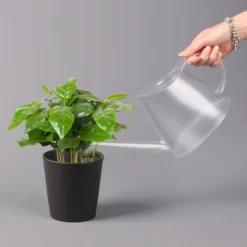 Kaffeestrauch Mit Keramiktopf Dallas Anthrazit, Topf-Ø 12cm, Höhe Ca. 25 Cm -Zimmer & Garten Verkäufe 0220108268 Coffea arabica Dallas anthrazit 32