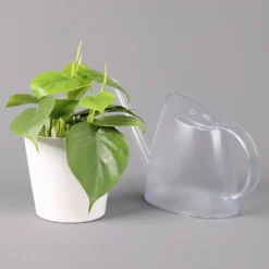 Philodendron Scandens In Keramiktopf Weiß, Topf-Ø 12 Cm, Höhe Ca. 20 Cm, 2er-Set -Zimmer & Garten Verkäufe 0220180194 Philo scandens inkl Topf Dallas weiss 42
