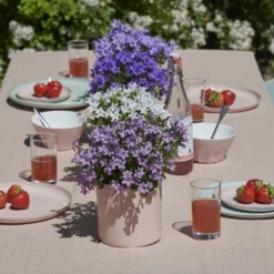 Glockenblume 'Ambella® Lavender' Hellviolett, Topf-Ø 15 Cm, 3er-Set -Zimmer & Garten Verkäufe 0319200206 Campanula portenschl Ambella Lavender hellviolett T15 3er Set 16 126555