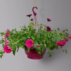 Gemischte Sommerblumen-Ampel, Farbe/n Nach Verfügbarkeit, Ampeltopf-Ø 25/27 Cm -Zimmer & Garten Verkäufe 0619140037 BB Mix Ampel T27 pink lila 1 126076