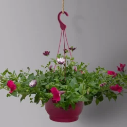 Gemischte Sommerblumen-Ampel, Farbe/n Nach Verfügbarkeit, Ampeltopf-Ø 25/27 Cm -Zimmer & Garten Verkäufe 0619140037 BB Mix Ampel T27 pink lila 2 126075