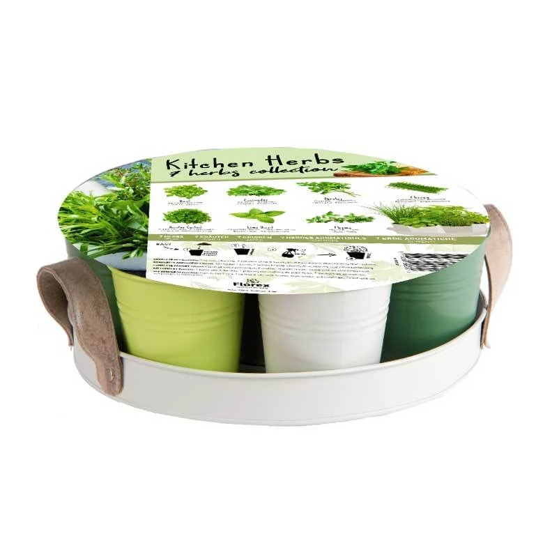 XL-Kollektion Mit 7 Verschiedenen Küchenkräutersamen 1 XL-Kollektion Mit 7 Verschiedenen Küchenkräutersamen