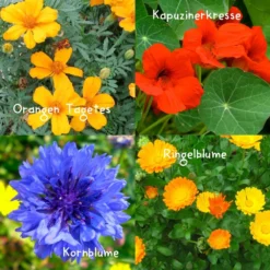 Blumensamen-Set Gourmet Blumen, Essbar, Bienenfreundlich, Dekorativ -Zimmer & Garten Verkäufe 0710403583 Blumensamen Set Gourmet Blumen 4essbare Sorten mit organ Duenger 5 60480