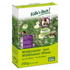 Kölle's Beste Wildkräuter- & Wildblumen-Wiese, Nordwestdeutsches Tiefland, 250 G