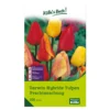 Darwin Hybride Tulpen Prachtmischung 100 Blumenzwiebeln