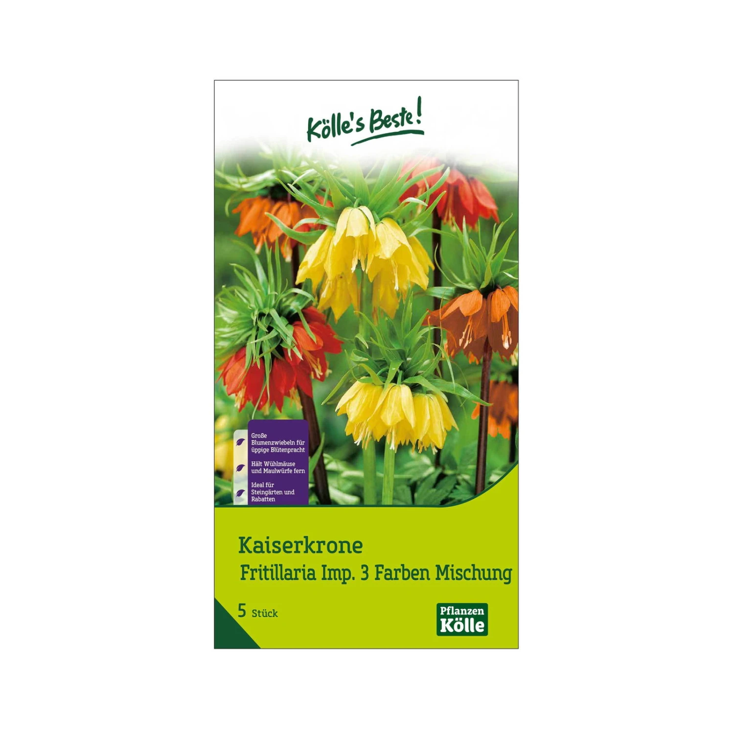 Kaiserkrone (Fritillaria) 3-Farben Mischung, 5 Blumenzwiebeln