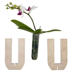 Phalaenopsis Voyage Im Geschenkkarton, Höhe Ca. 30 Cm -Zimmer & Garten Verkäufe 1530103136 Phalaenopsis Voyage Farbe nach Verfuegbarkeit 13 110899