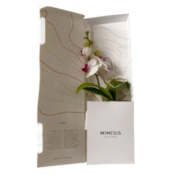 Phalaenopsis Voyage Im Geschenkkarton, Höhe Ca. 30 Cm -Zimmer & Garten Verkäufe 1530103136 Phalaenopsis Voyage Farbe nach Verfuegbarkeit 9 110900