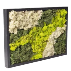 Eckiges Moosbild Mit Schwarzem Rahmen, Klein, 24 X 17 Cm 8 Eckiges Moosbild Mit Schwarzem Rahmen, Klein, 24 X 17 Cm -Zimmer & Garten Verkäufe 1530150085 Moosbild eckig 24 cm 1 115778