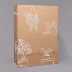 Gardenie, Mit Keramiktopf Dallas Anthrazit, Topf-Ø 13 Cm -Zimmer & Garten Verkäufe B2 02 Karton Sets mit Keramik 1 126161 4